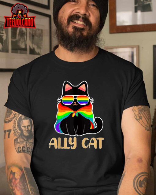 LGBT Ally Cat Be Kind Gay Rainbow Funny LGBTQ Gift Idea Sweashirt