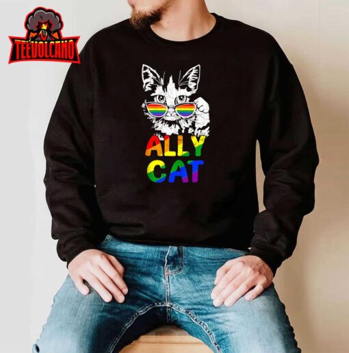 Retro Ally Cat Rainbow Sunglasses LGBT Lesbian Gay Pride Sweashirt