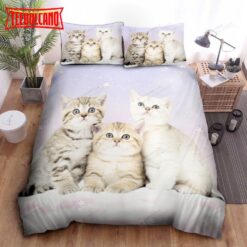 Kitten Cat Cute Bed Sheets Spread Duvet Cover Bedding Sets