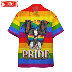Ally Pride 3D Shirt Awesome Background Design Hawaiian Shirt, Hawaiian Pride