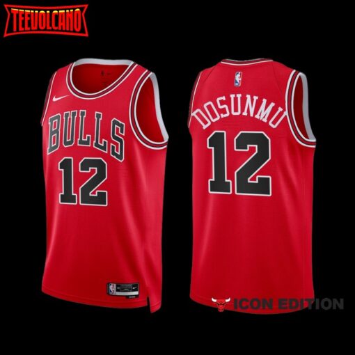 Chicago Bulls Ayo Dosunmu 2022-23 Red Icon Edition Jersey