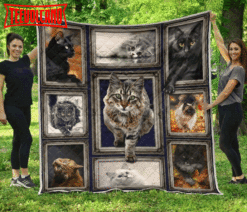 Cat Cute The Cat 3D Quilt Blanket