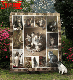 Cat The Old Day 3D Quilt Blanket