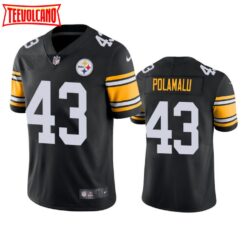 Pittsburgh Steelers Troy Polamalu Black Alternate Limited Jersey