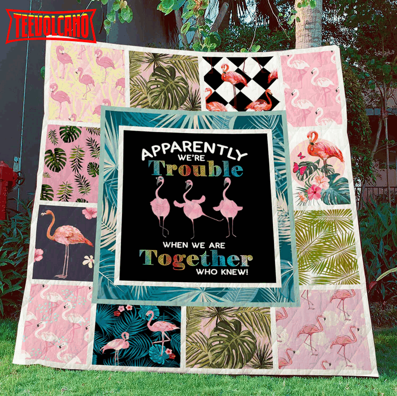 Apparently We’Re Trouble When We Are Together Who Knew Flamingo 3D Quilt Blanket