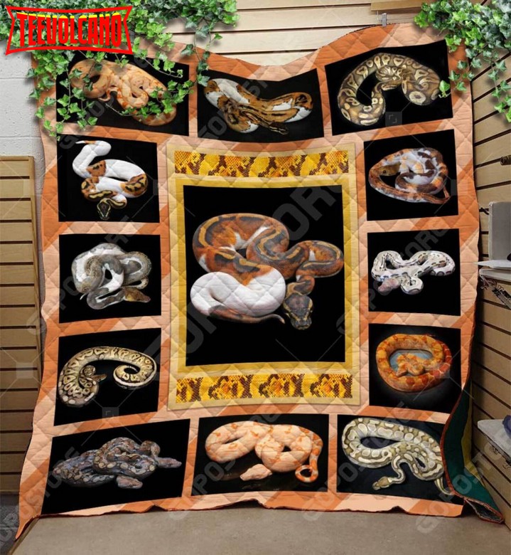 Beautifull Pythons Like 3D Customized Quilt Blanket