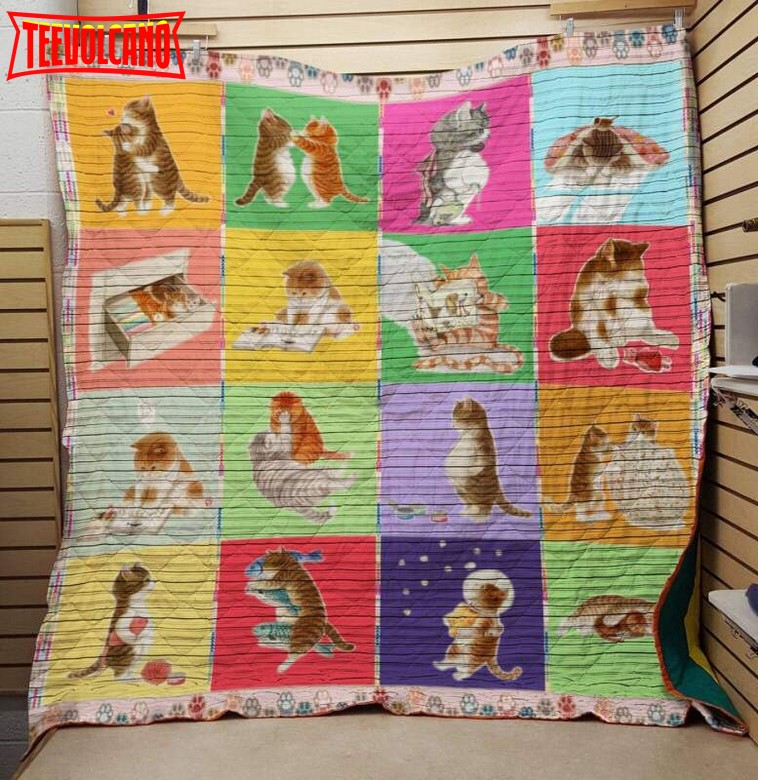 Big Belly Cat 3D Customized Quilt Blanket