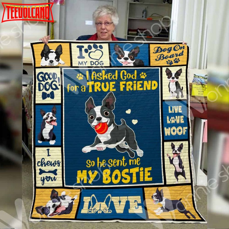 Boston Terrier Jumping Boy 3D Quilt Blanket