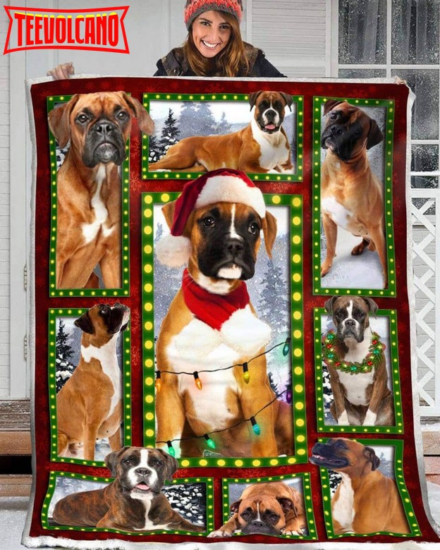 Boxer Dance With Boxer 3D Quilt Blanket