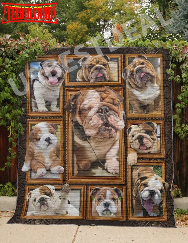 Bulldog Cute Puppy Bulldog 3D Quilt Blanket