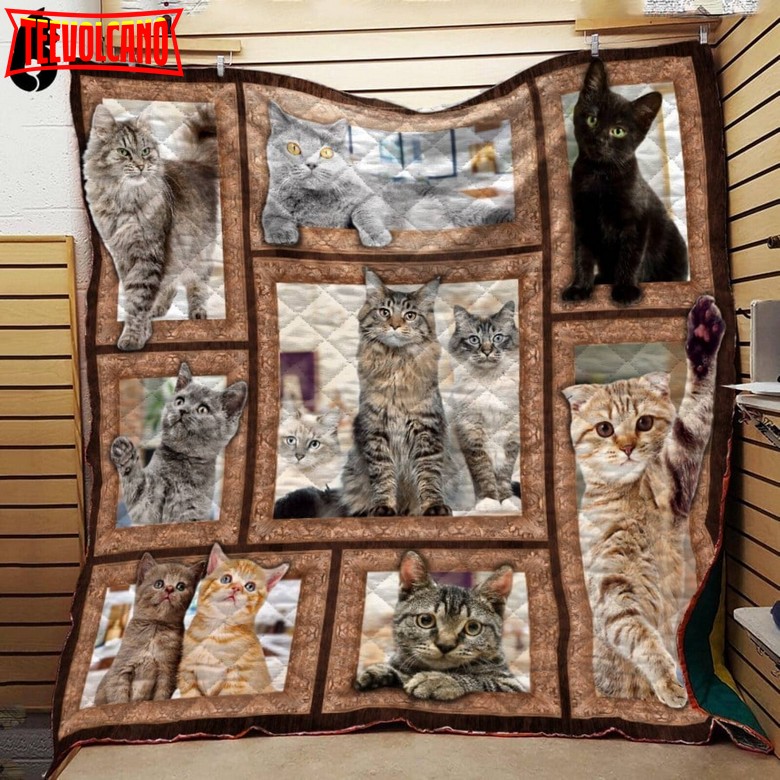 Cat 3D Cats 3D Quilt Blanket