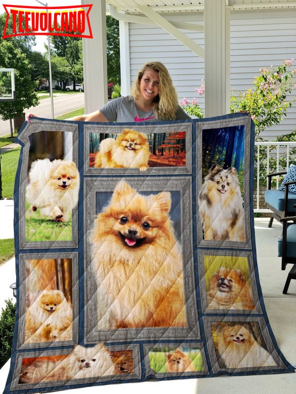 Dog Pomeranian 3D Quilt Blanket