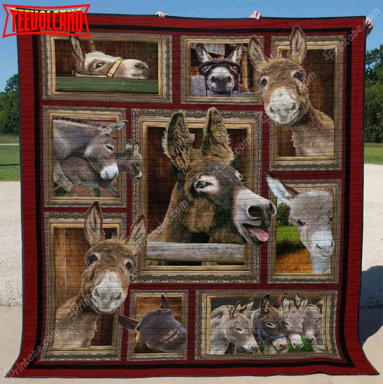 Donkeybe The Donkey 3D Quilt Blanket