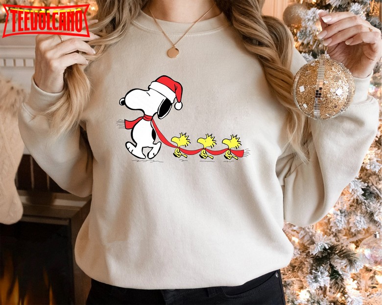 Funny Cartoon Christmas Movie Characters Hoodie, Christmas Snoopy Shirt