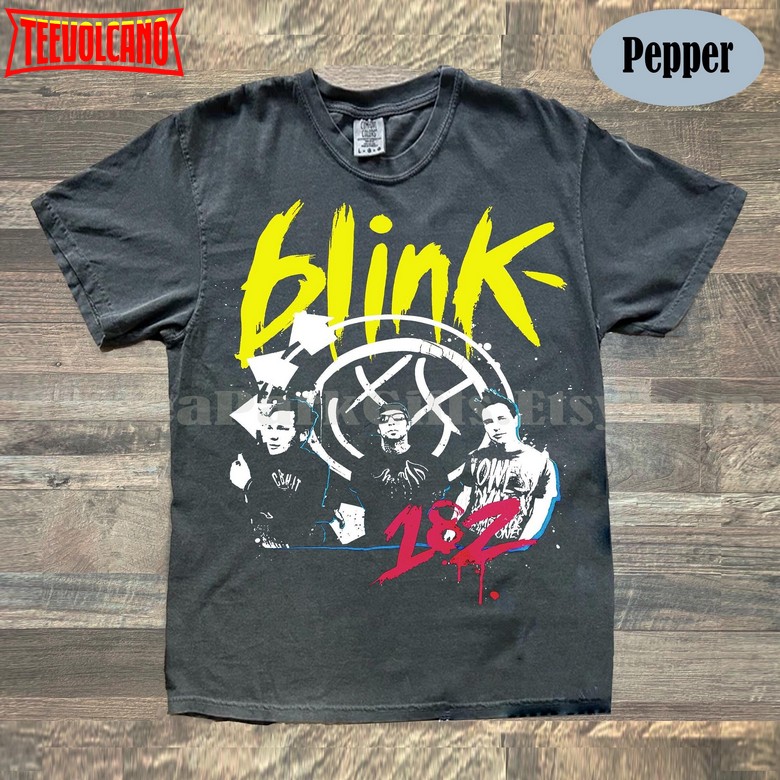 Vintage 2009 Blink 182 Punk Rock USA Summer Tour Vintage T-Shirt