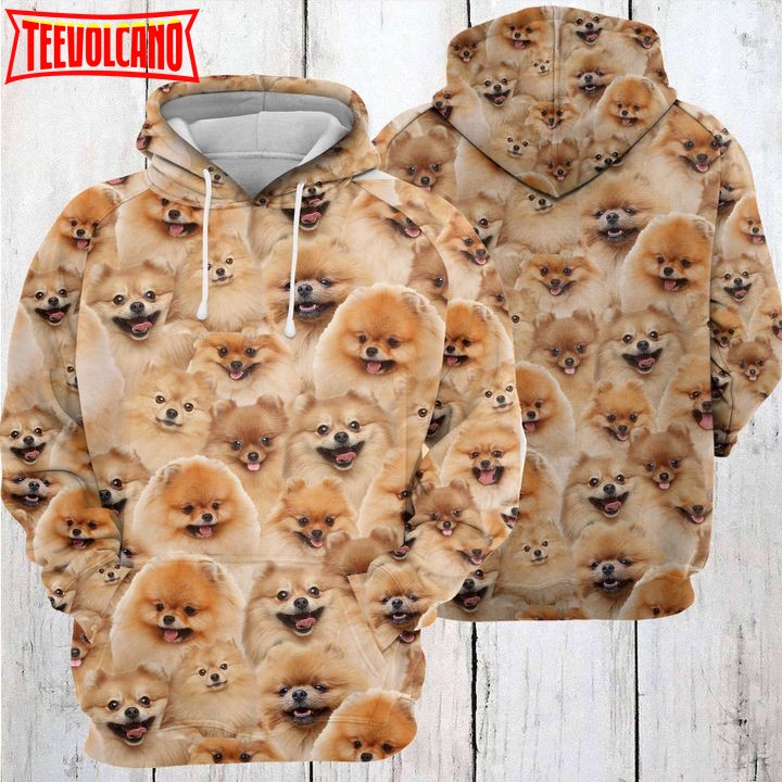 Pomeranian Awesome 3D Printed Hoodie