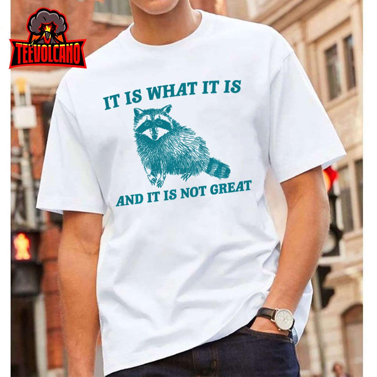 It Is What It Is And It Is Not Great Raccoon Sweatshirt